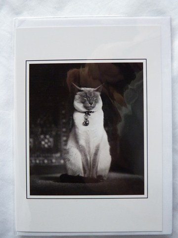 CARD CAT-Lilith the Siamese Blank inside